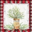 Picture of HOLIDAY SPRIG ON PLAID I