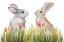 Picture of BUNNIES AMONG THE FLOWERS II