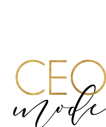 Picture of CEO MODE