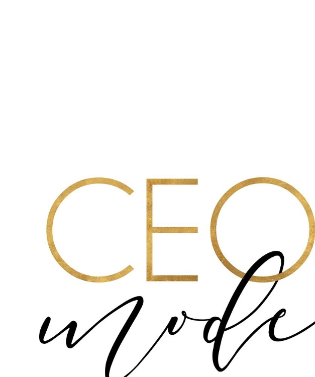 Picture of CEO MODE