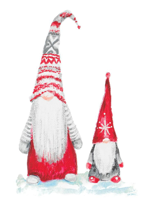 Picture of GNOME DUO