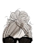 Picture of VISIONS OF HAIR STYLE IV