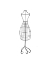 Picture of VISIONS OF FASHION V