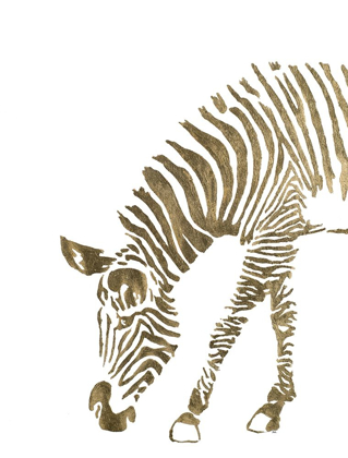 Picture of GOLD ZEBRA