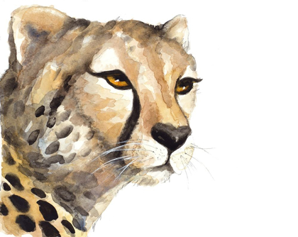 Picture of CHEETAH PORTRAIT