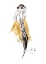 Picture of FASHION SKETCH II