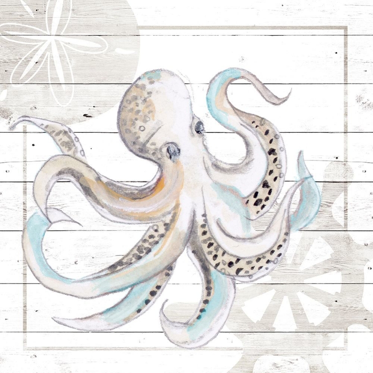 Picture of EXPLORE NAUTICAL V