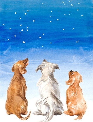 Picture of THREE DOGS STAR GAZING