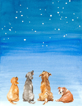 Picture of FOUR DOGS STAR GAZING