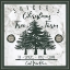 Picture of TAUPE CHRISTMAS SIGN I