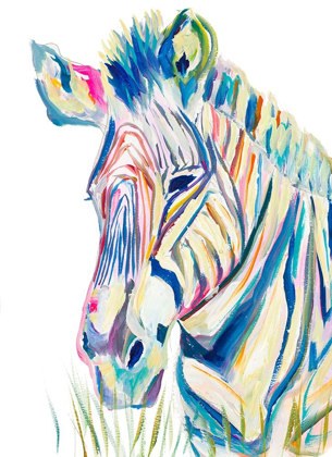 Picture of COLORFUL ZEBRA