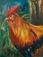 Picture of ROOSTER
