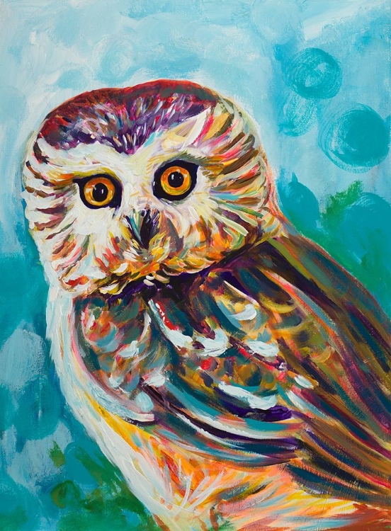 Picture of COLORFUL OWL