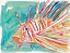 Picture of COLORFUL FISH