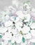 Picture of WHITE ORCHIDS