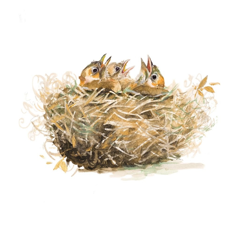 Picture of THE NEST