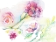 Picture of LIGHT AND BREEZY FLORALS II