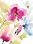 Picture of PEACEFUL FLORALS II