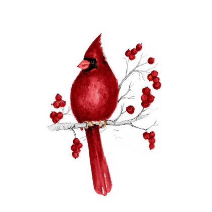 Picture of WINTER CARDINAL IN RED II