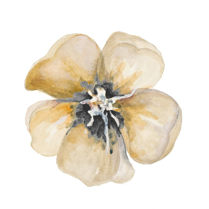 Picture of YELLOW FLOWER