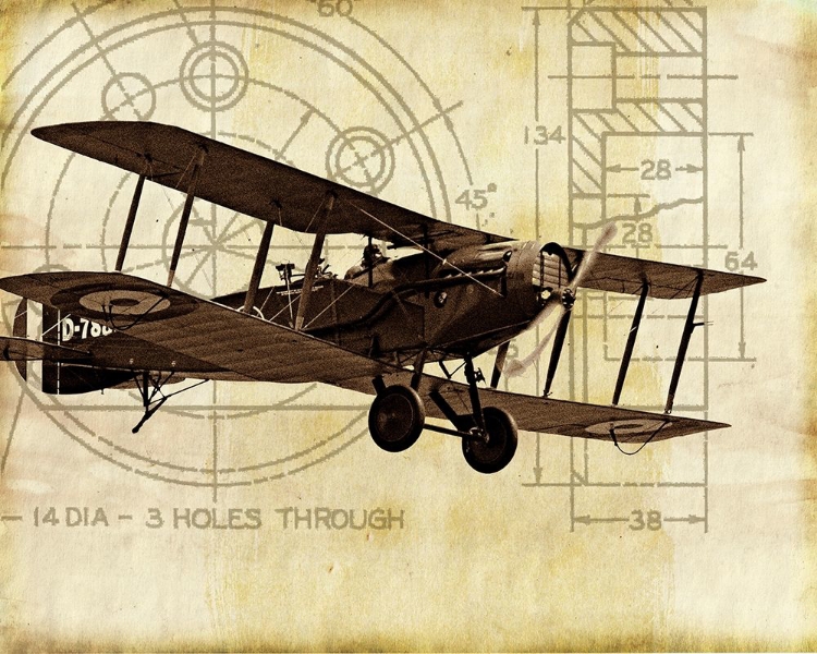 Picture of FLIGHT PLANS I