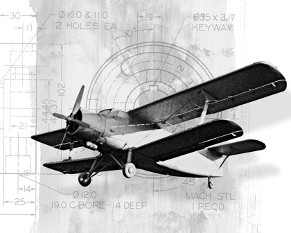 Picture of FLIGHT PLANS II