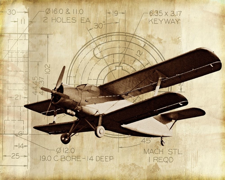 Picture of FLIGHT PLANS II