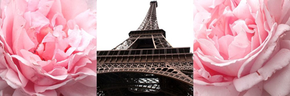 Picture of PINK ROSES EIFFEL TOWER