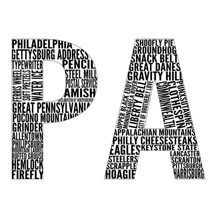 Picture of PA TYPE