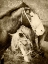 Picture of VINTAGE HORSES