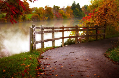 Picture of MISTY LAKE PATH