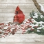 Picture of WINTER RED BIRD ON WOOD I