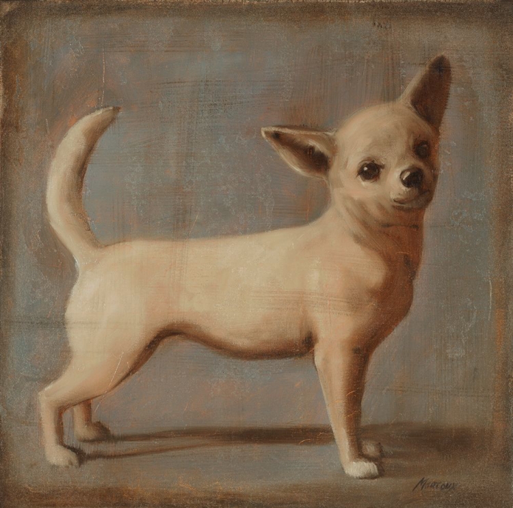 Picture of CHIHUAHUA