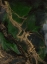 Picture of UNTITLED