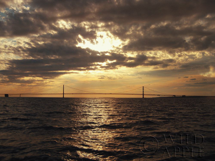 Picture of MACKINAC BRIDGE SUNSET