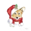 Picture of HOLIDAY PAWS VIII ON WHITE