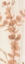 Picture of SOFT TERRACOTTA MIXED GREENS LX