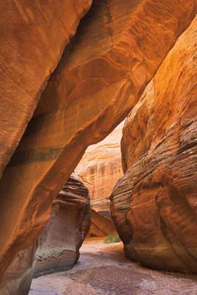 Picture of BUCKSKIN GULCH I