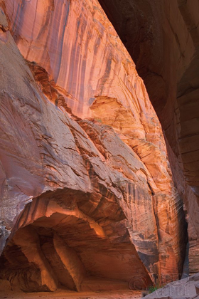 Picture of BUCKSKIN GULCH II