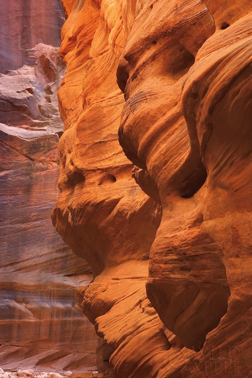 Picture of BUCKSKIN GULCH III