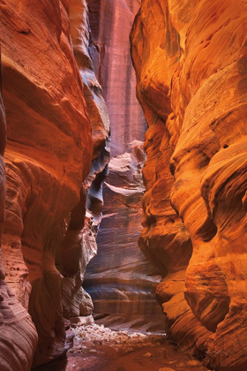 Picture of BUCKSKIN GULCH IV