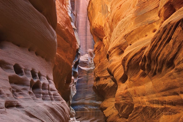 Picture of BUCKSKIN GULCH V