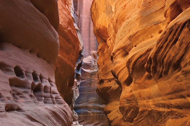 Picture of BUCKSKIN GULCH V