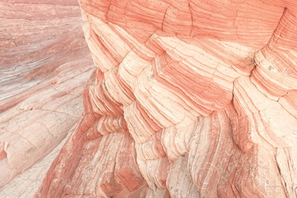 Picture of COYOTE BUTTES VII BLUSH