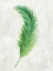 Picture of PALMS OF THE TROPICS VI