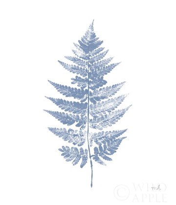 Picture of FERN PRINT I BLUE NO SHIPLAP