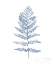 Picture of FERN PRINT II BLUE NO SHIPLAP