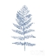 Picture of FERN PRINT II BLUE NO SHIPLAP