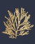 Picture of PACIFIC SEA MOSSES I INDIGO