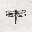 Picture of DRAGONFLY STAMP BW